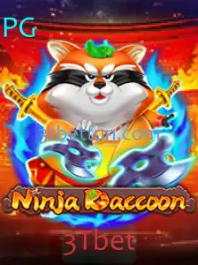 Explorando o Mundo de NinjaRaccoon: Descrição, Introdução e Regras do Jogo